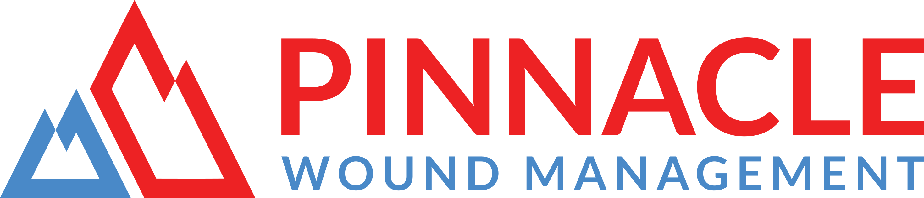 Pinnacle Wound Management Logo